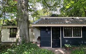 Cottage Het Beukenootje